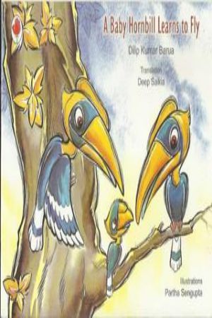 A Baby Hornbill Learn to Fly